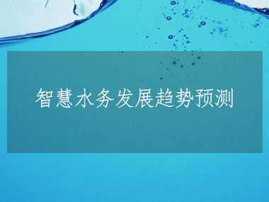 2023-2028年全球及中(zhōng)國(guó)智慧水務(wù)行業發展分(fēn)析